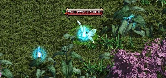 ヤティカヌのウィルオウィスプ(Lv1319)