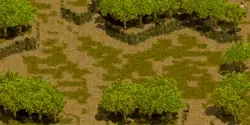 やぶ森の中のミニマップ