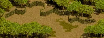 やぶ森の中のミニマップ