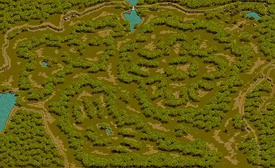 疑問の森 北東部のミニマップ