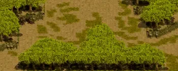 やぶ森の中のミニマップ