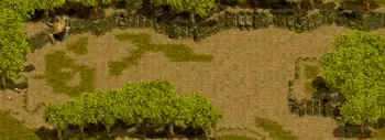 やぶ森の中のミニマップ