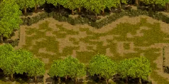 やぶ森の中のミニマップ