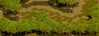 やぶ森の中のミニマップ