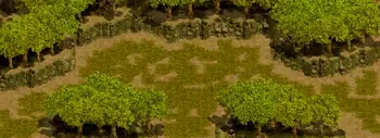 やぶ森の中のミニマップ