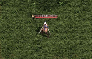 レッドストーンクエスト負傷者のための薬草「派遣のお知らせ」